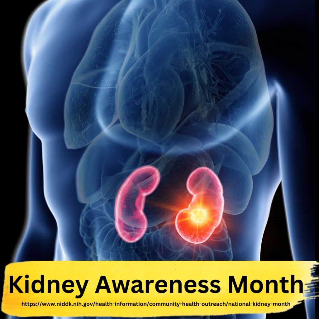 Kidney Awareness Month Cornerstone Health Alaska