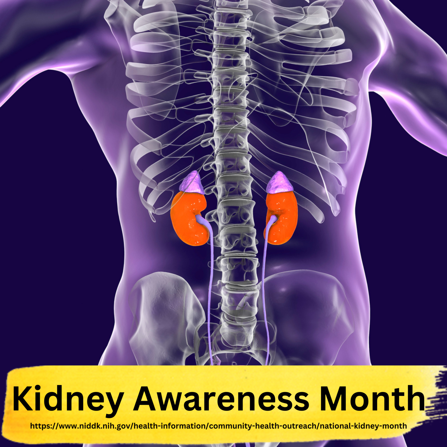March is National Kidney Month
