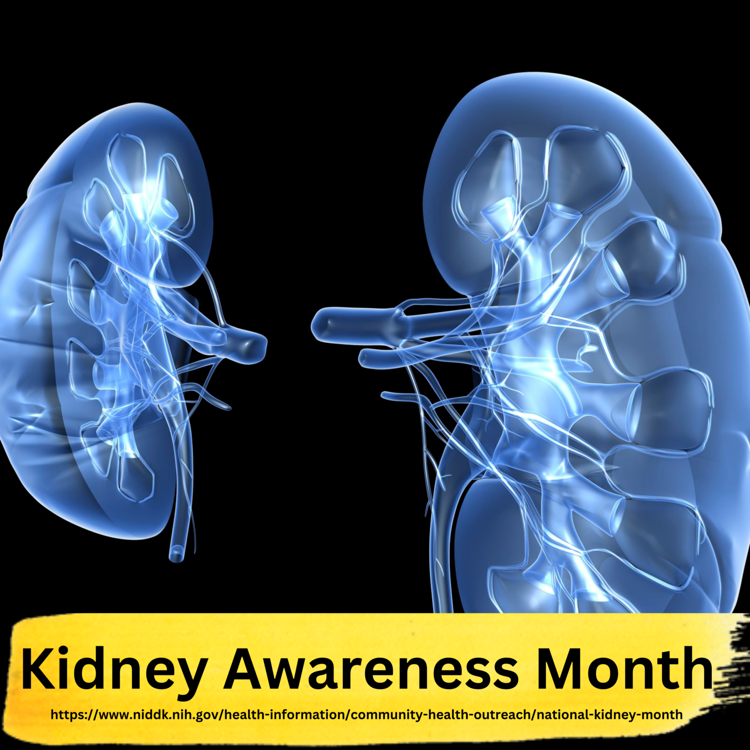 Kidney Awareness Month