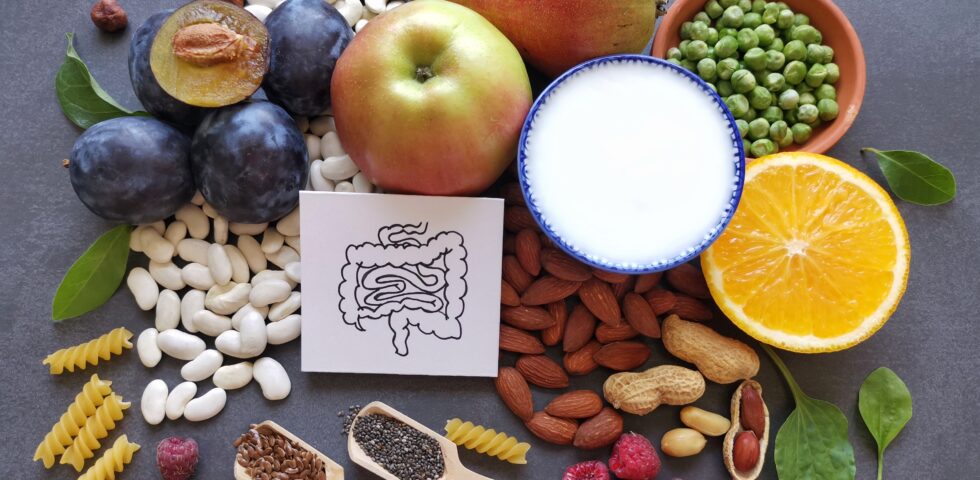 Fruits, nuts, beans, and yogurt arranged around drawing of digestive system